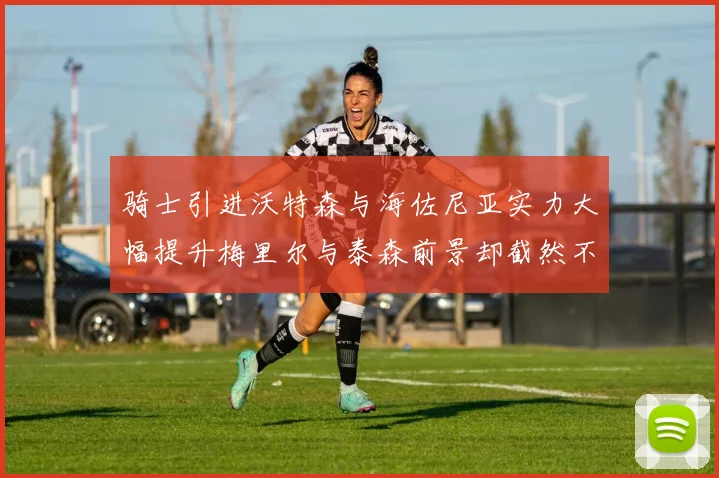 骑士引进沃特森与海佐尼亚实力大幅提升梅里尔与泰森前景却截然不同