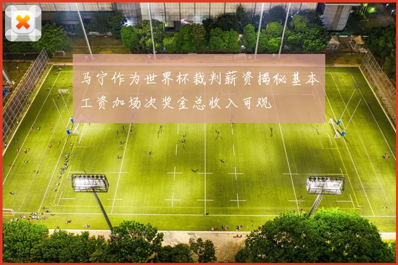 马宁作为世界杯裁判薪资揭秘基本工资加场次奖金总收入可观